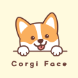 Corgi Face Theme HOME