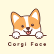程序图标：Corgi Face Theme HOME