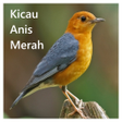 Icon of program: Kicau Anis Merah Offline