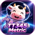 Programın simgesi: TT345Metric