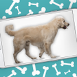 プログラムのアイコン：Dog on Screen Woof Woof J…
