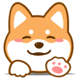 Icoon van programma: cookie复制器
