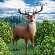Programın simgesi: Hunting Simulator 4x4
