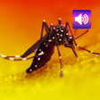 程序图标：Mosquito sounds
