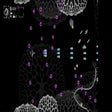 أيقونة البرنامج: Hexapoda