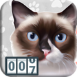 程序图标：POPCAT COUNTER