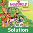 程序图标：Class 4 English Solution
