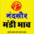 程序图标：मंदसौर मंडी भाव / Mandsau…