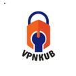 程序图标：VPNKUB