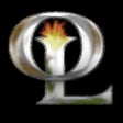 Icon of program: Other Life