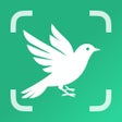 Icon of program: BirdScope: Bird Identifie…