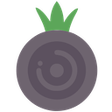 ไอคอนของโปรแกรม: Onion Control anonymous p…