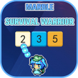 رمز البرنامج: Marble Survival Warrior