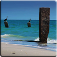 Biểu tượng của chương trình: Beach Video Live Wallpape…