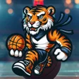 Icône du programme : Tigrinho Basket: Play App