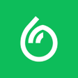 Icon of program: Dumpling Grocery