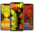 Autumn Wallpaper icon