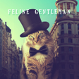 程序图标：Cat  Theme-Feline Gentlem…
