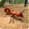 プログラムのアイコン: Fire Ant Simulator