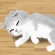 أيقونة البرنامج: Cat Pet