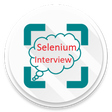 程序图标：Selenium Interview / Tuto…