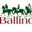 程序图标：Ballindenisk