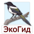 プログラムのアイコン：EcoGuide: Russian Birds