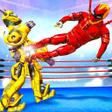 程序图标：Grand Robot Hero Ring Fig…