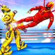 Grand Robot Hero Ring Fighting: Wrestling Games