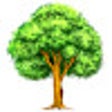 프로그램 아이콘: Tree History