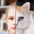 プログラムのアイコン：TwinFACE  What cat are yo…