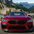 程序图标：Driving Simulator BMW