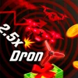 ไอคอนของโปรแกรม: DronX