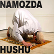 程序图标：Namozda hushu