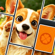 ไอคอนของโปรแกรม: Drop Solitaire - Card Puz…