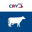 Symbol des Programms: Dier