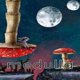 Programikonen: Medulla