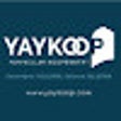 Ícone do programa: Yaykoop Extension