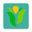 Ikon program: NGO Jobs in Myanmar