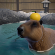 ไอคอนของโปรแกรม: Capybara Chill: Live Wall…