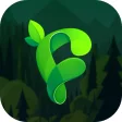Forest Proxy - Security  Fast