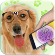 أيقونة البرنامج: Translate to dogs languag…