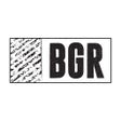 Ikon program: BGR - The Burger Joint