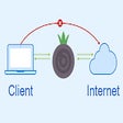 Icon of program: Proxy Client for Onion