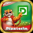 Icoon van programma: Dianterin