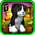 Icon of program: Cat Frenzy 3D