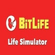 ไอคอนของโปรแกรม: Life Simulator