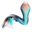 プログラムのアイコン：Mermaid's tail