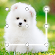 プログラムのアイコン：Puppy Dog Pattern Lock Sc…