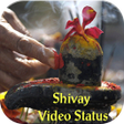 プログラムのアイコン：Shivay Video Status